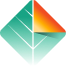DMS logo